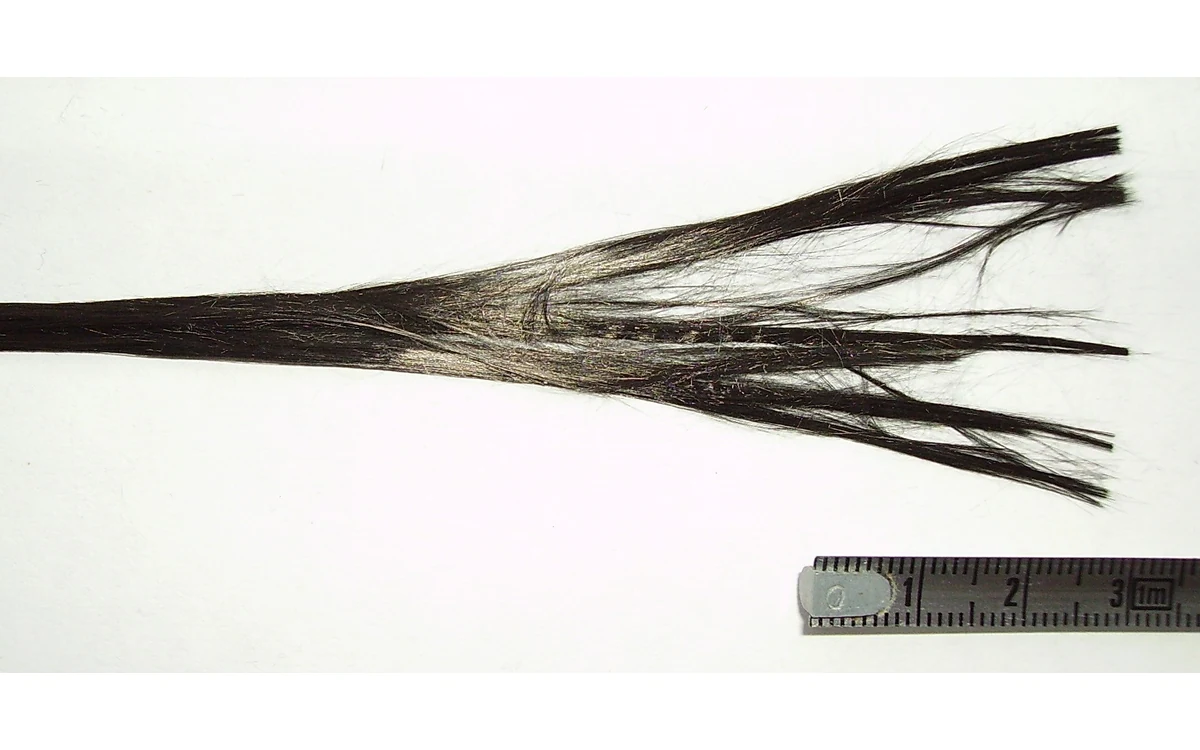 Loose carbon-fiber tow spread beside a ruler.