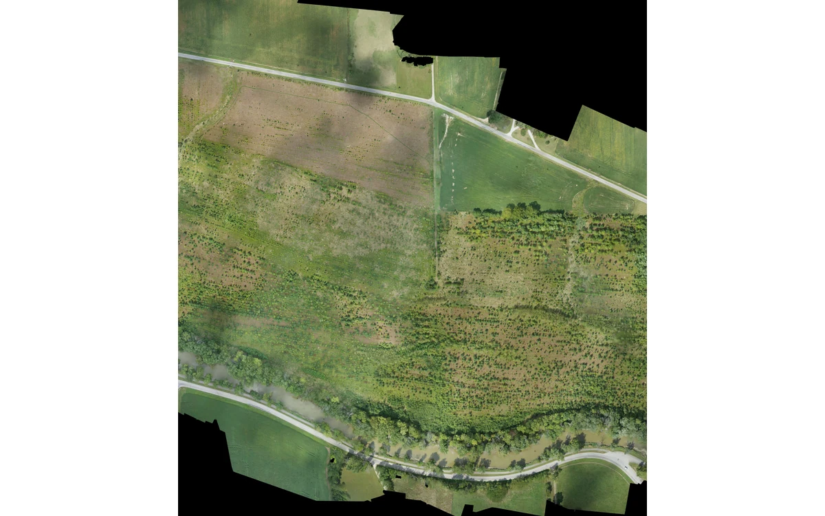 Processed USGS natural-color orthomosaic of vegetation, fields and tracks at an Indiana bottomland restoration site.